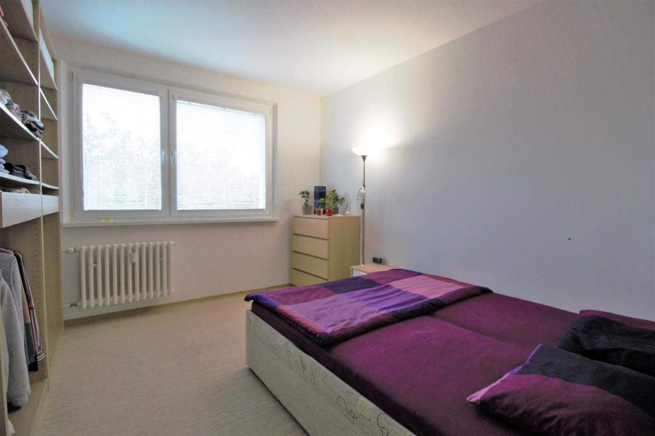 Cozy, Bright Room With Free Parking Pressburg Exterior foto